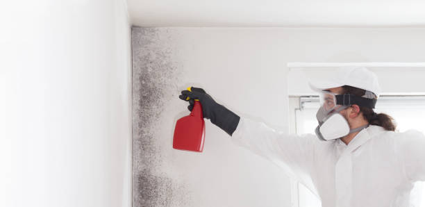 Best Office Mold Removal Services  in Bloomfield, IN