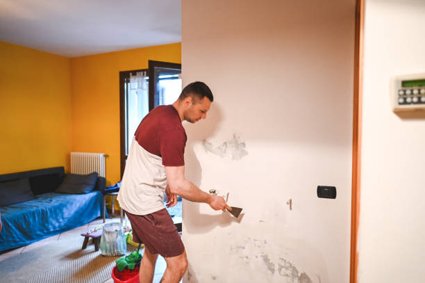 Best Attic Mold Removal  in Bloomfield, IN