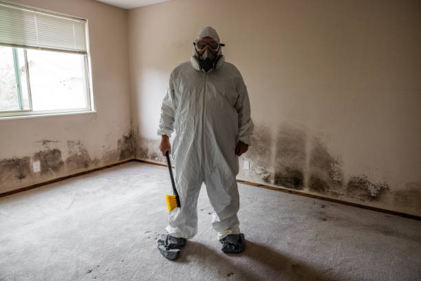 Trusted Bloomfield, IN Mold Removal Experts